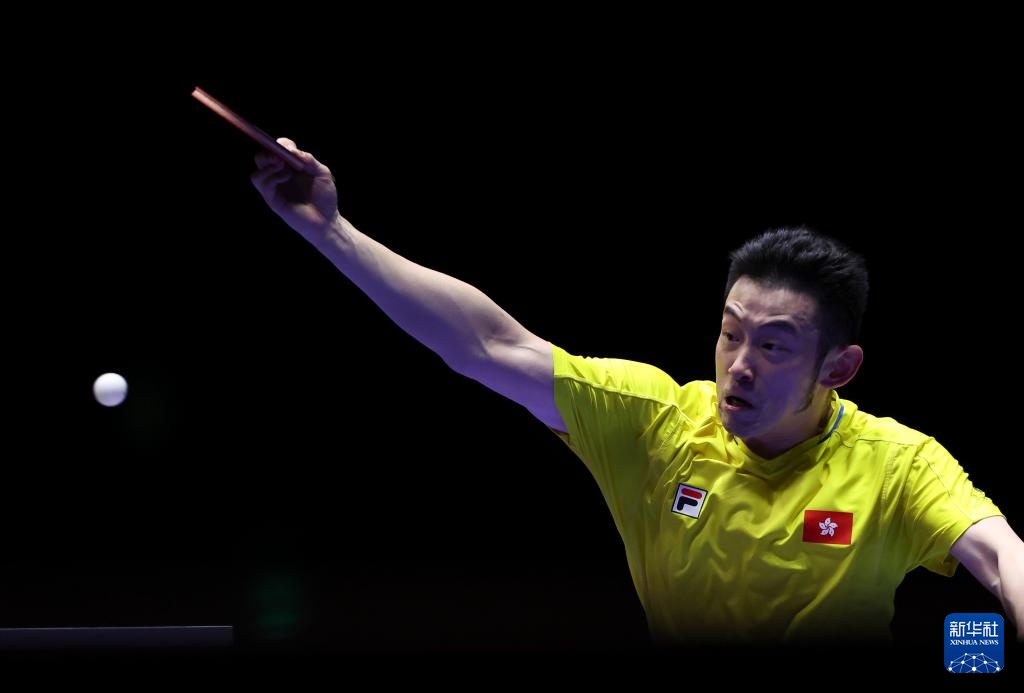 煌的战绩 煌的战绩